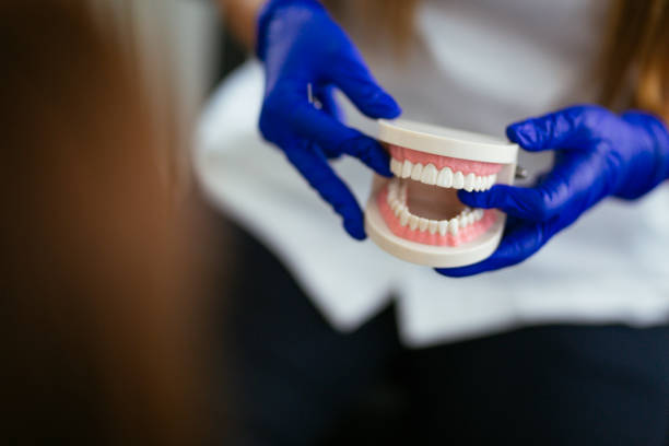 Professional Holistic Dental Care Services in Mcconnell Af, KS
